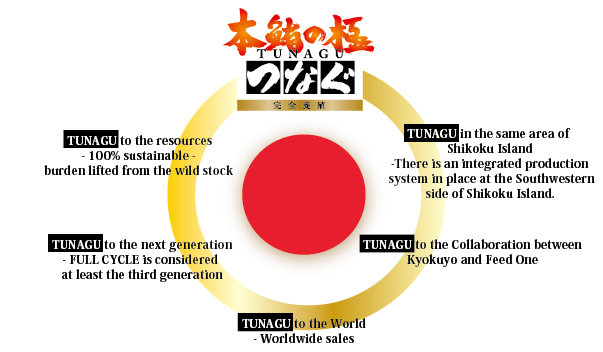 5 concepts for TUNAGU – Meaning of TUNAGU to CONNECT